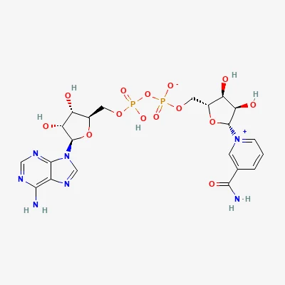 2D chemical structure of NAD+ (Nicotinamide Adenine Dinucleotide)